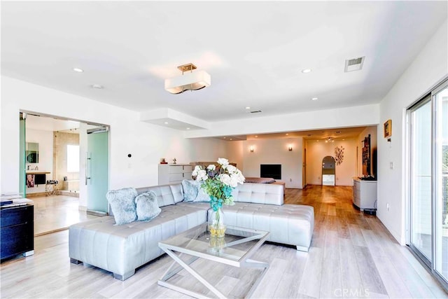 living room with light wood-type flooring