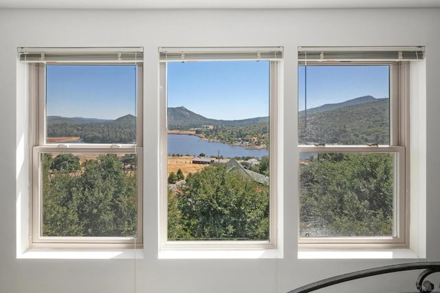 room details with a water and mountain view