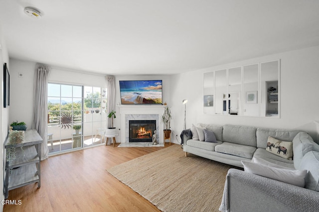 living room with hardwood / wood-style floors and a high end fireplace