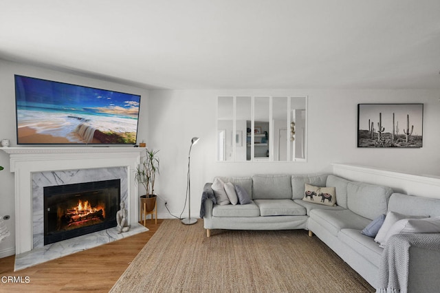 living room with a fireplace and hardwood / wood-style floors