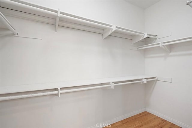 spacious closet featuring light hardwood / wood-style flooring