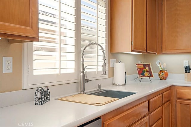 kitchen with sink