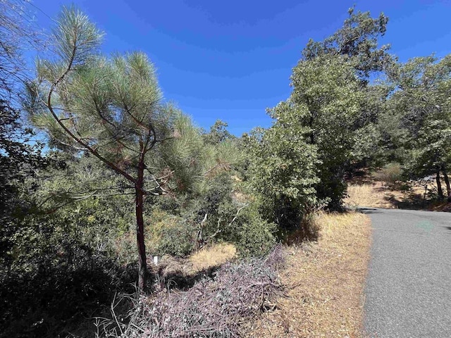 Listing photo 3 for 0 Whispering Pines Dr, Julian CA 92036