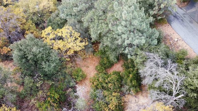 Listing photo 2 for 0 Whispering Pines Dr, Julian CA 92036