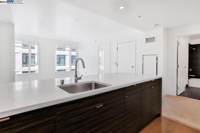 kitchen with hardwood / wood-style floors, dark brown cabinets, and sink