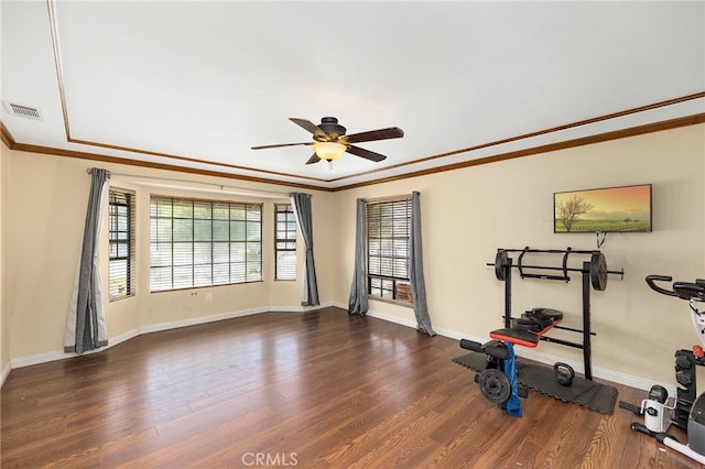 exercise room with ceiling fan, dark wood-type flooring, and ornamental molding