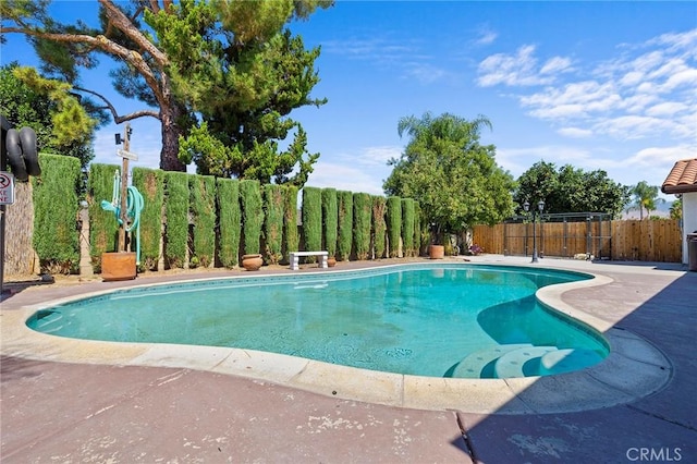 view of pool featuring a patio area