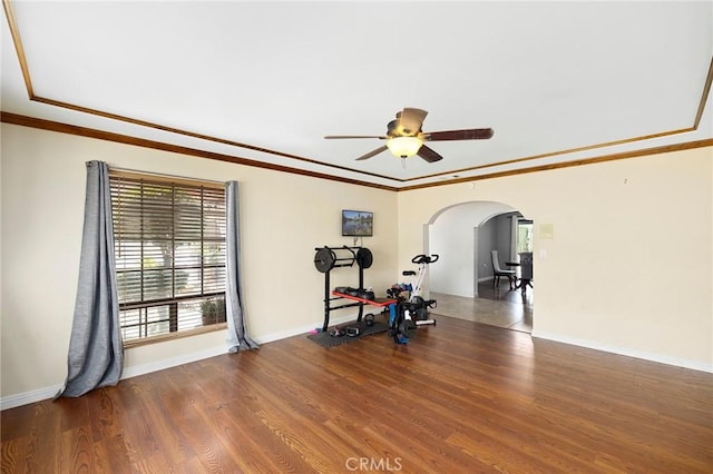 workout room featuring ceiling fan, dark hardwood / wood-style flooring, and crown molding