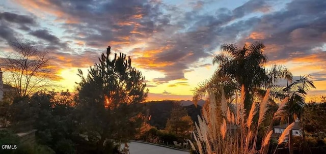 view of nature at dusk