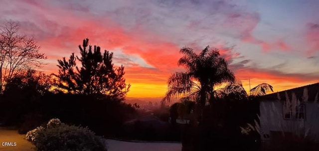 view of nature at dusk