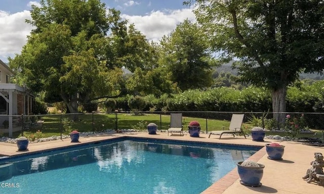 view of pool featuring a patio