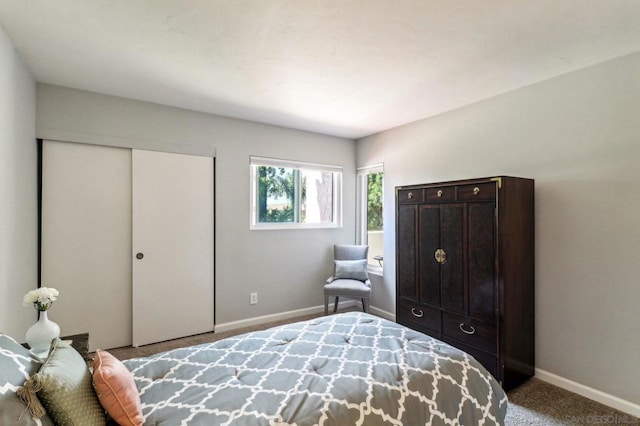 bedroom with a closet and carpet