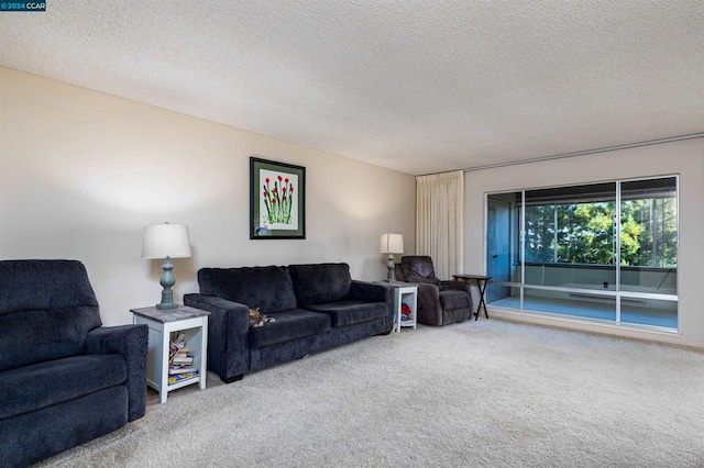 living room with carpet flooring and a textured ceiling