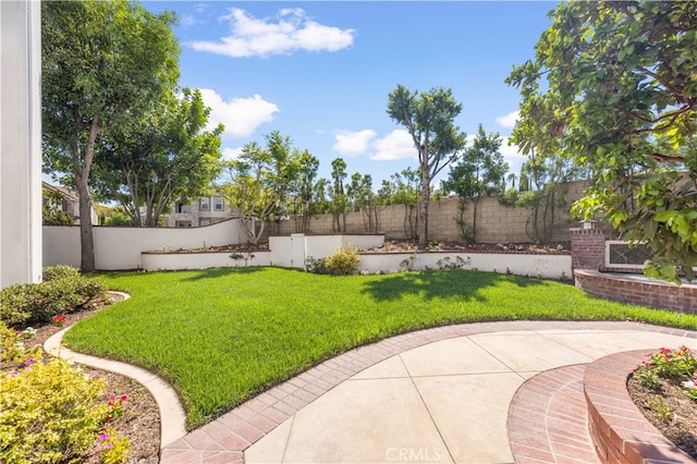 view of yard featuring a patio