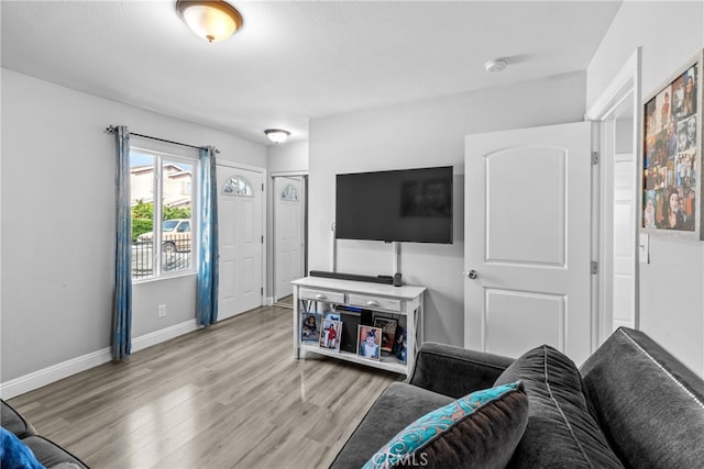 living room featuring light hardwood / wood-style flooring