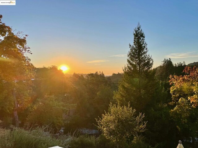 view of nature at dusk