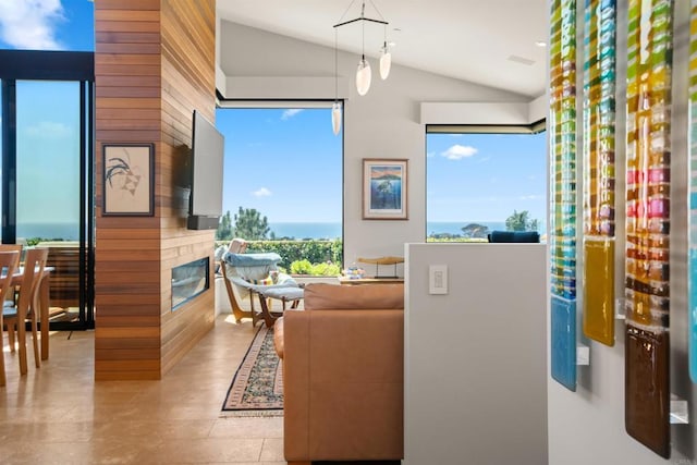 interior space featuring plenty of natural light, wooden walls, and vaulted ceiling