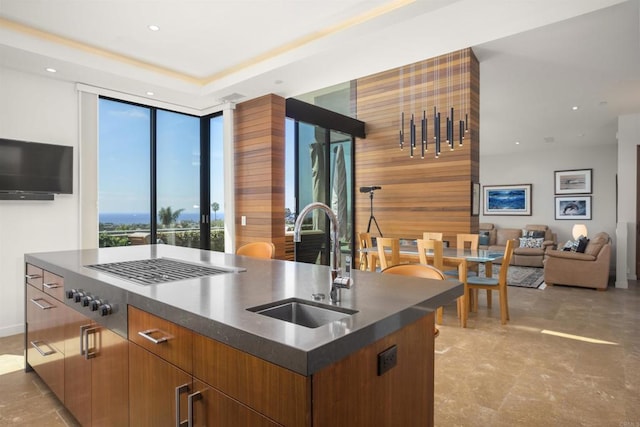 kitchen with a kitchen island with sink and sink