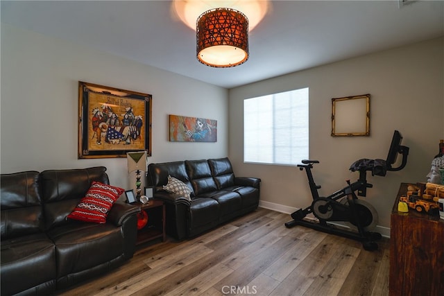 living room featuring hardwood / wood-style floors