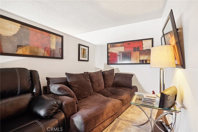 living room with a textured ceiling