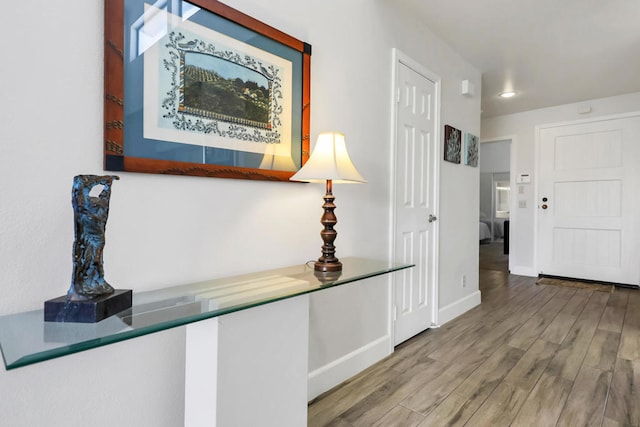 hallway featuring wood-type flooring