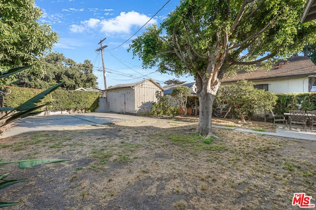 view of yard with a patio area and a shed