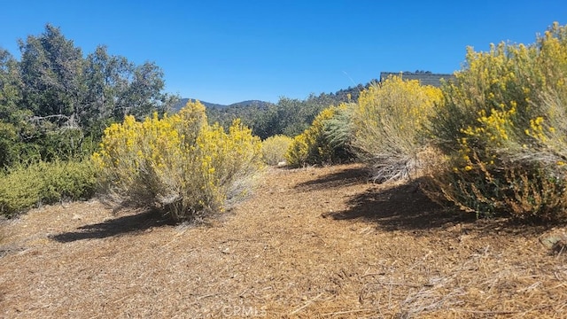1806 Zermatt, Pine Mountain Club, CA 93222