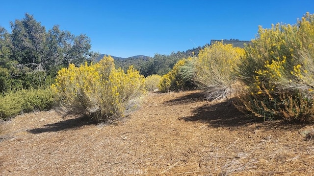 1806 Zermatt, Pine Mountain Club CA, 93222 land for sale