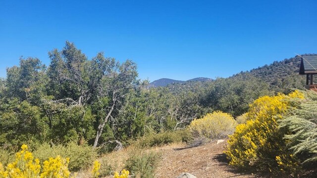 1806 Zermatt, Pine Mountain Club, CA 93222