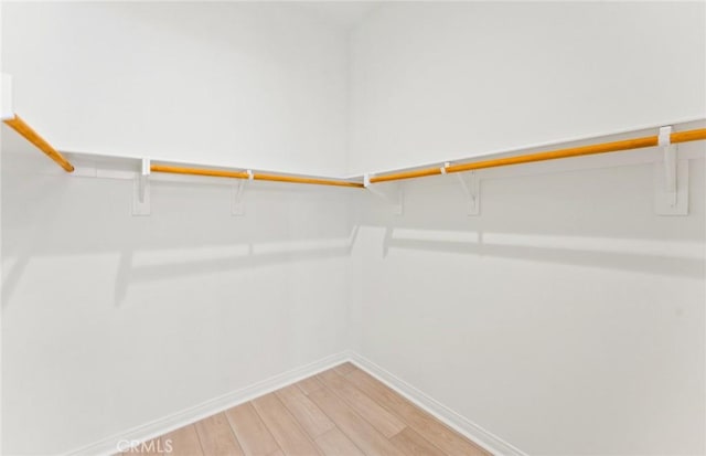 spacious closet featuring hardwood / wood-style flooring