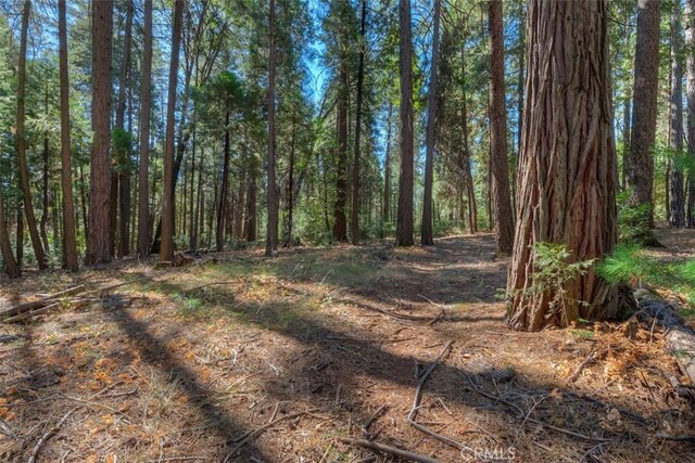 0 Fern Glenn Way, Magalia, CA 95954