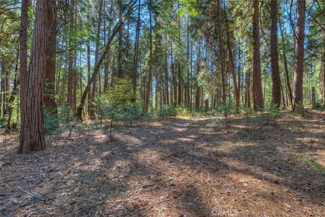 0 Fern Glenn Way, Magalia, CA 95954