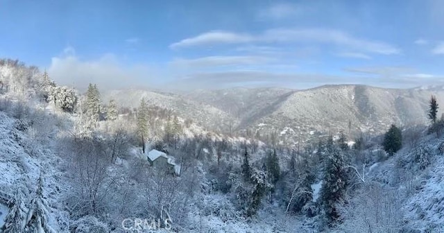 30008 Hickory Dr, Lake Arrowhead, CA 92321 - view of mountain backdrop