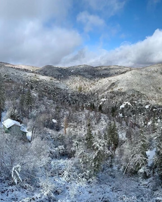 30008 Hickory Dr, Lake Arrowhead, CA 92321 - view of mountain backdrop