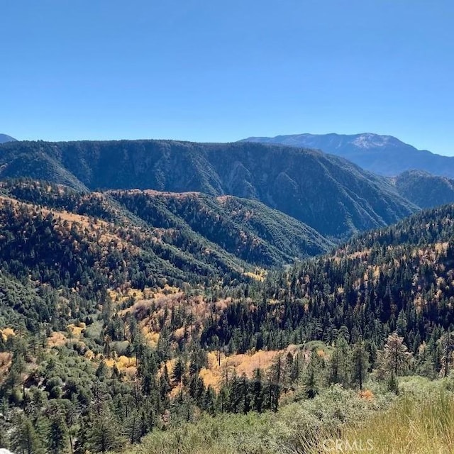 30008 Hickory Dr, Lake Arrowhead, CA 92321 - view of mountain background featuring a forest