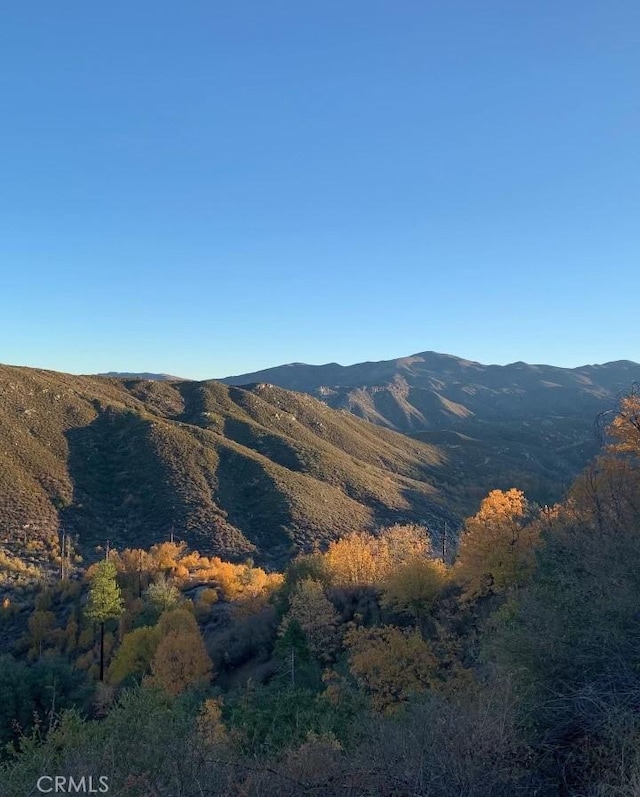 30008 Hickory Dr, Lake Arrowhead, CA 92321 - view of mountain background