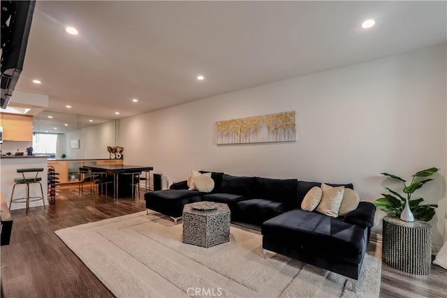 living room with wood-type flooring