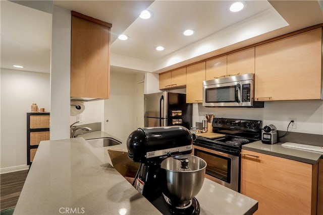 kitchen with light brown cabinets, appliances with stainless steel finishes, dark hardwood / wood-style floors, and sink