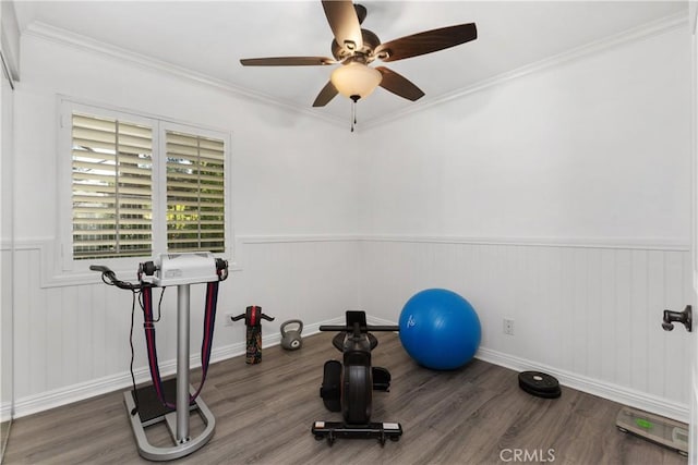 exercise room with crown molding, ceiling fan, and dark hardwood / wood-style floors