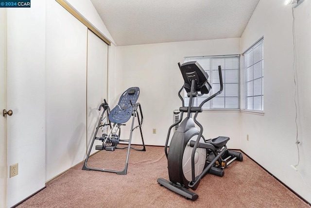 exercise area featuring carpet and a textured ceiling