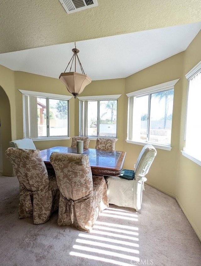 dining room featuring light colored carpet and a healthy amount of sunlight