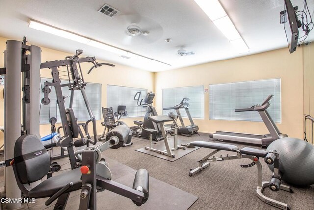 exercise room featuring ceiling fan