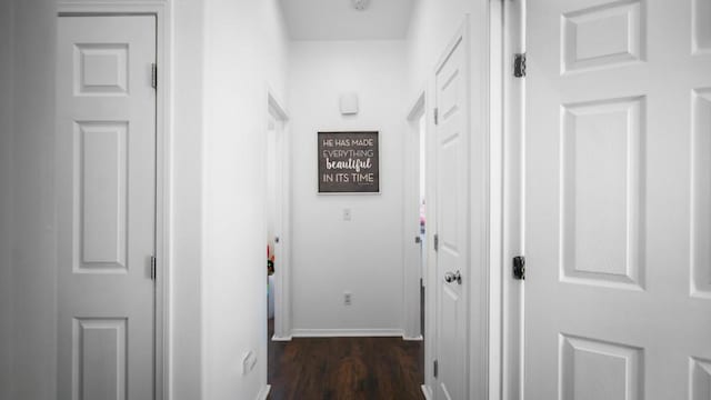 hallway featuring dark hardwood / wood-style flooring