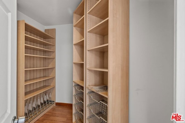 spacious closet with light wood-type flooring