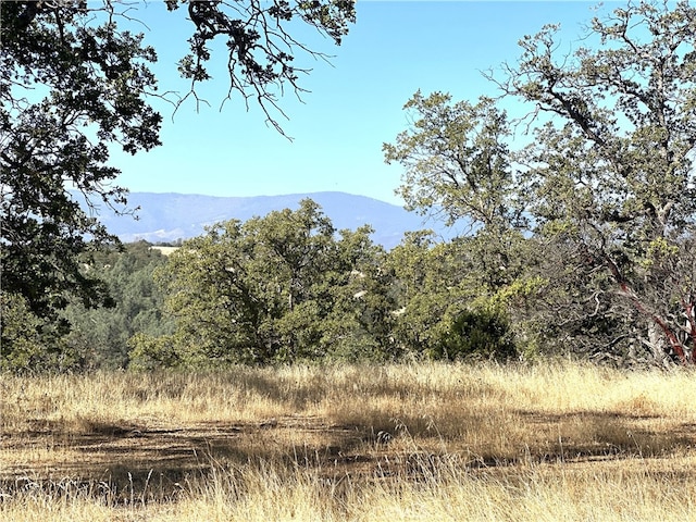 16173 Nugget Rd, Corning CA, 96021 land for sale