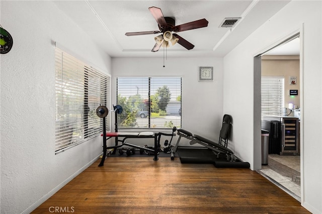 exercise room featuring dark hardwood / wood-style floors and ceiling fan