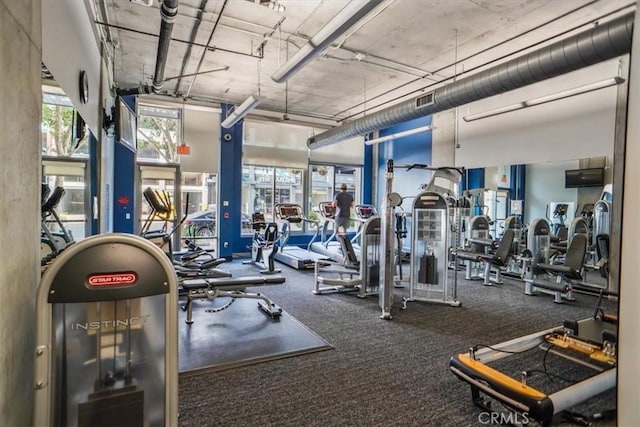 exercise room featuring carpet floors