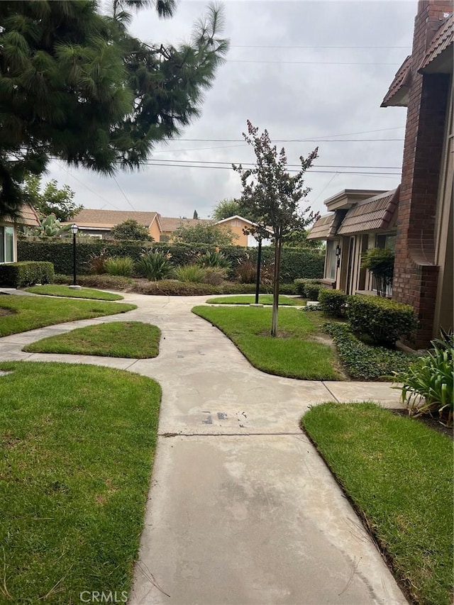 view of community with a yard