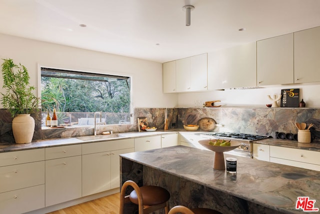 kitchen featuring sink, light hardwood / wood-style flooring, stainless steel range oven, dark stone countertops, and decorative backsplash