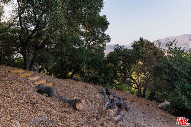 exterior space featuring a mountain view